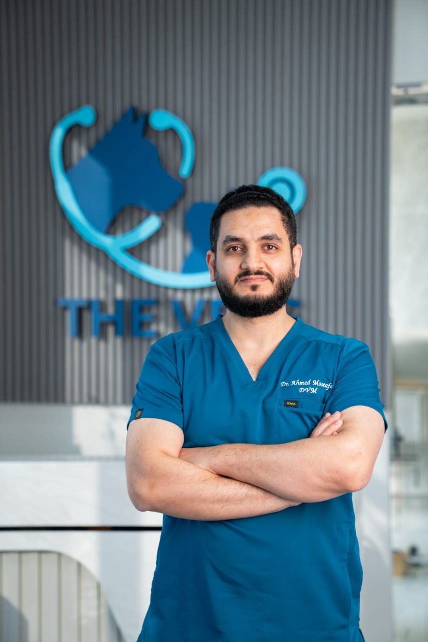 Dr. Ahmed Mostafa, lead veterinarian at The Vets Clinic